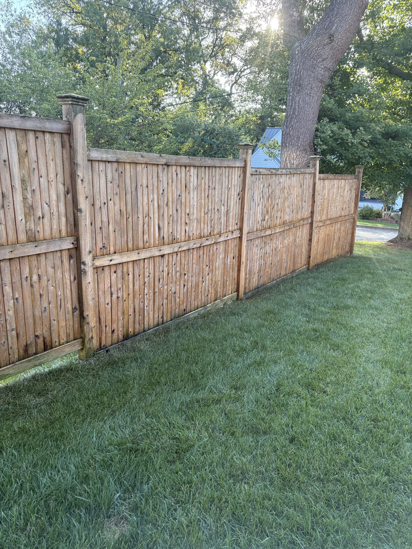 A cleaned cedar fence